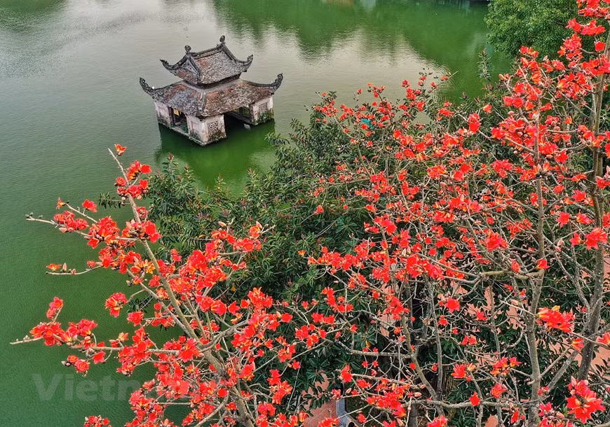 Thủy Đình là một kiến trúc biểu tượng của chùa Thầy. Vào mùa lễ hội, nơi đây trở thành sân khấu của các nghệ sỹ múa rối nước. (Ảnh: Xuân Mai/Vietnam+)