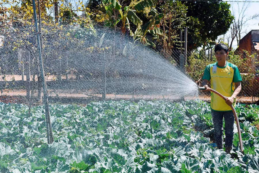 Anh Nhàn cho biết trong thời gian tới, Nông hội tiếp tục vận động các hộ thành viên sản xuất theo tiêu chuẩn VietGAP, ứng dụng công nghệ tưới tiết kiệm nước phù hợp với tình hình thời tiết khô hạn. Các hộ thành viên tích cực tham gia các lớp tập huấn kỹ thuật, tiếp thu ứng dụng tiến bộ khoa học vào sản xuất, nâng cao chất lượng nông sản đáp ứng nhu cầu tiêu thụ của thị trường.