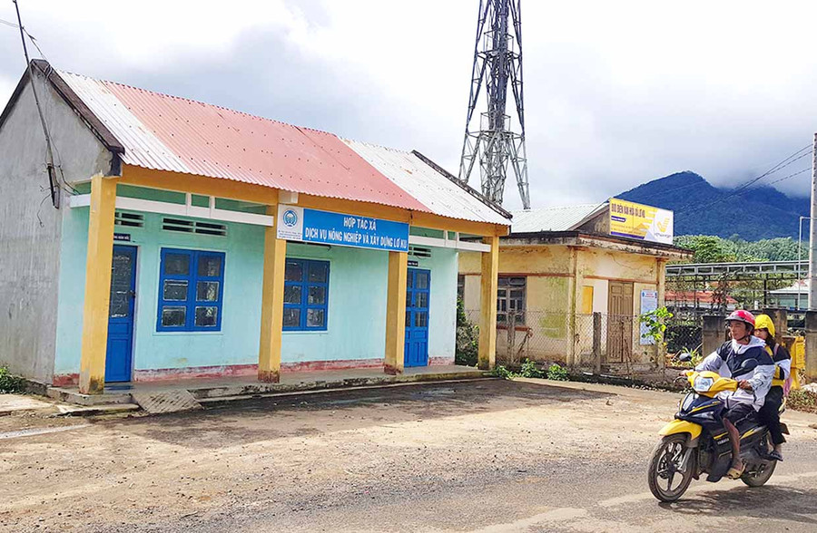 Vụ án tại Hợp tác xã Dịch vụ nông nghiệp và Xây dựng Lơ Ku đã bị khởi tố. Ảnh: Lê Gia