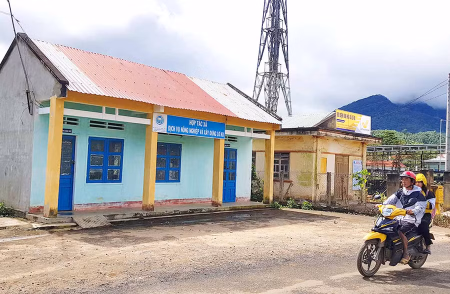 Vụ án tại Hợp tác xã Dịch vụ nông nghiệp và Xây dựng Lơ Ku đã bị khởi tố. Ảnh: Lê Gia