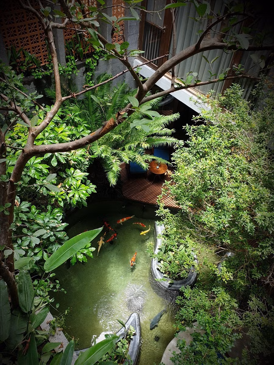  Giếng trời không những mang lại tính thẩm mỹ cao cho không gian nhà hiện đại mà còn giúp cải thiện ánh sáng cho những ngôi nhà phố chật hẹp. Ảnh: Phan Anh