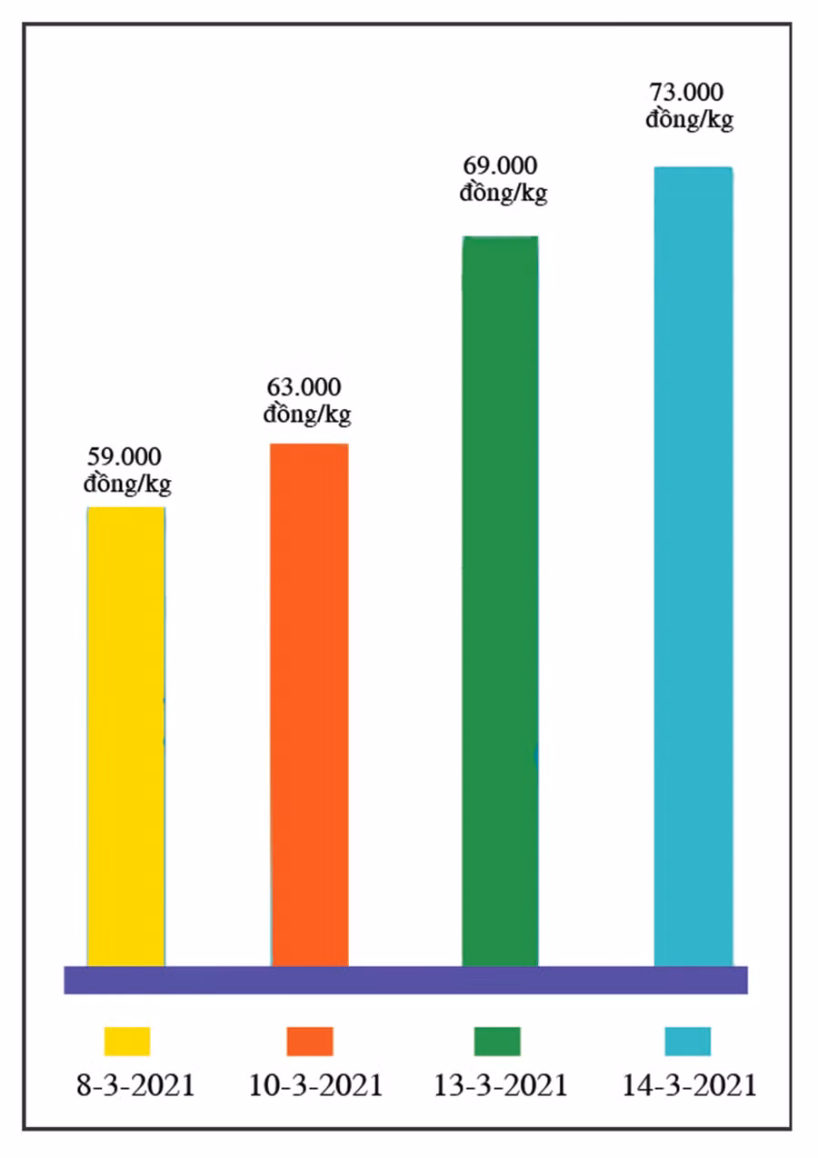 Giá hồ tiêu tuần qua (nguồn: Tin Tây Nguyên). Đồ họa: Huyền Trang