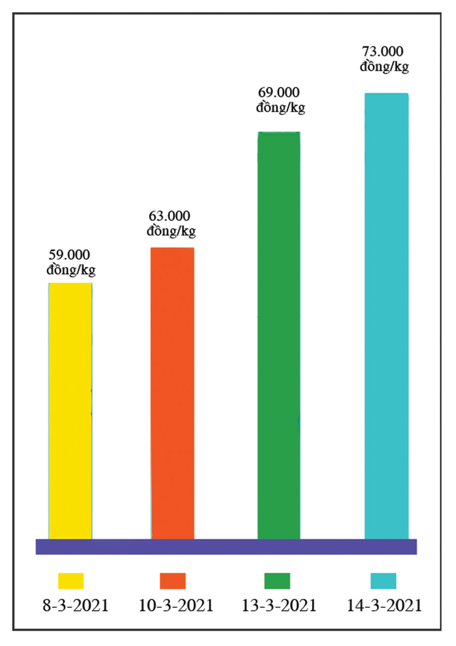 Giá hồ tiêu tuần qua (nguồn: Tin Tây Nguyên). Đồ họa: Huyền Trang