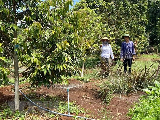 (Ảnh minh họa: Hoài Nam/TTXVN)