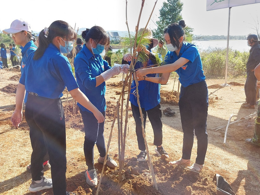 5. Đoàn viên thanh niên TP. Pleiku tham gia trồng cây