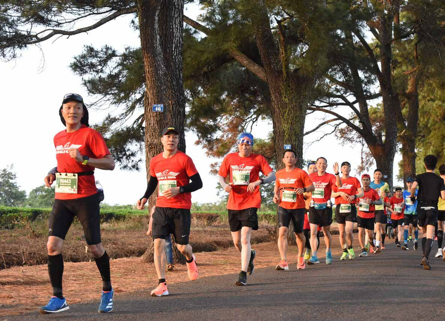 Ảnh: Đức Thụy