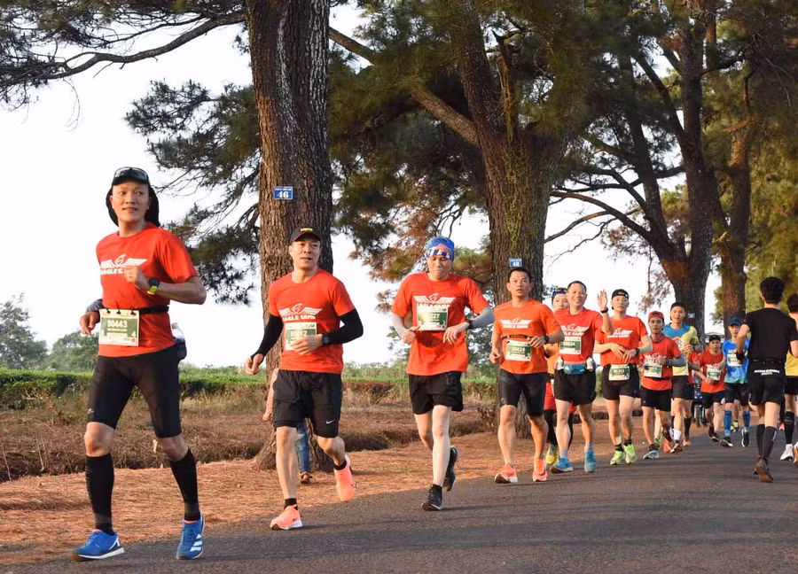 Ảnh: Đức Thụy