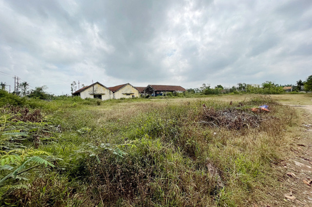 Cảnh bên trong Công ty Lâm nghiệp Trà Tân.