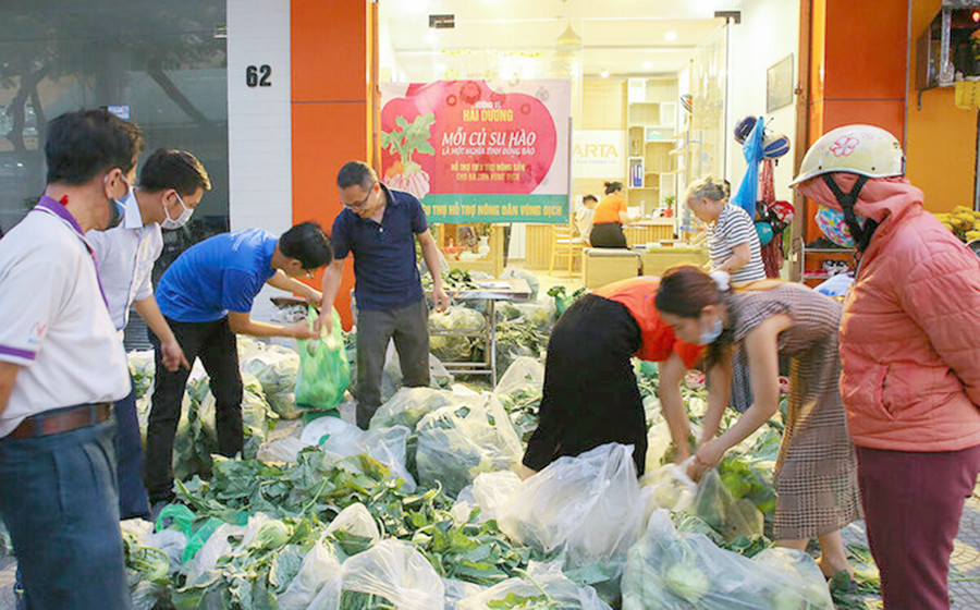 Người Đà Nẵng mua su hào, bắp cải giúp người dân Hải Dương. Ảnh: Internet