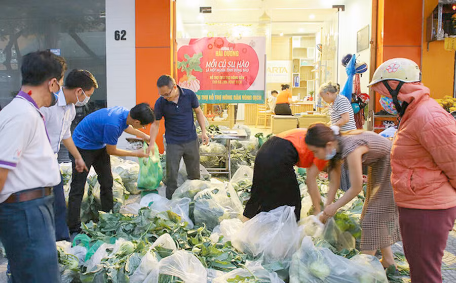 Người Đà Nẵng mua su hào, bắp cải giúp người dân Hải Dương. Ảnh: Internet