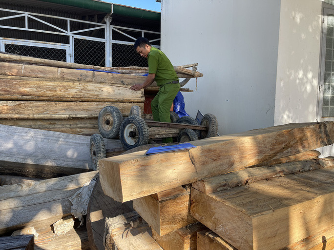 Vụ tàn phá hàng chục cây gỗ pơ mu quý hiếm tại huyện Krông Bông Vụ tàn phá hàng chục cây gỗ pơ mu quý hiếm tại huyện Krông Bông