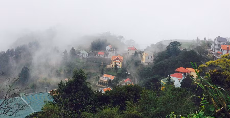 Tam Đảo mùa sương mù. Ảnh: Hùng Hoa Lư
