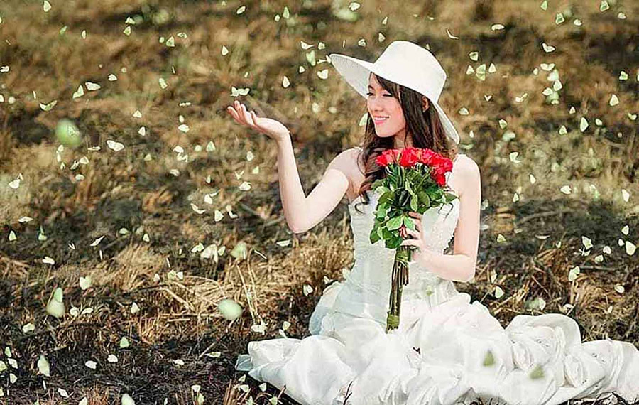 Hoa nắng Tây Nguyên ảnh 1 Ảnh minh họa: HÒA CAROL