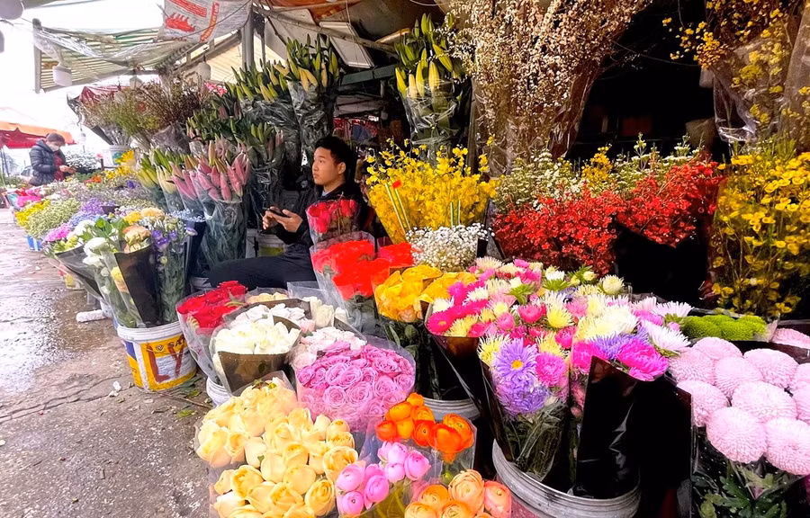 Chợ hoa Quảng An vắng khách trước ngày Lễ 8/3. (Ảnh: Minh Hiếu/Vietnam+)