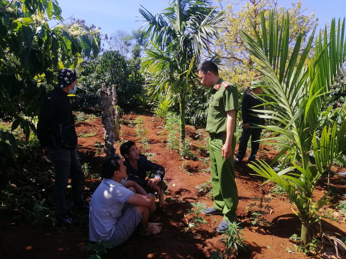 Lực lượng công an bắt quả tang 2 anh em trồng cần sa trái phép