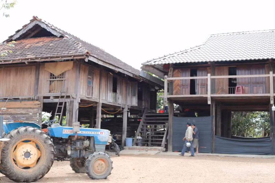 Hai ngôi nhà sàn truyền thống tọa lạc trên khu đất của gia đình ông Ma Văn Tiến (thôn Bắc Thái, xã Ia Lâu, huyện Chư Prông). Ảnh: Phương Duyên