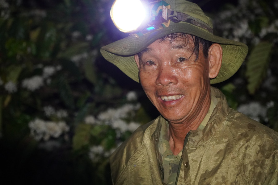  Ông Bùi Đình Dương tin tưởng năm nay trang trại cà phê sẽ bội thu, năng suất hơn năm trước
