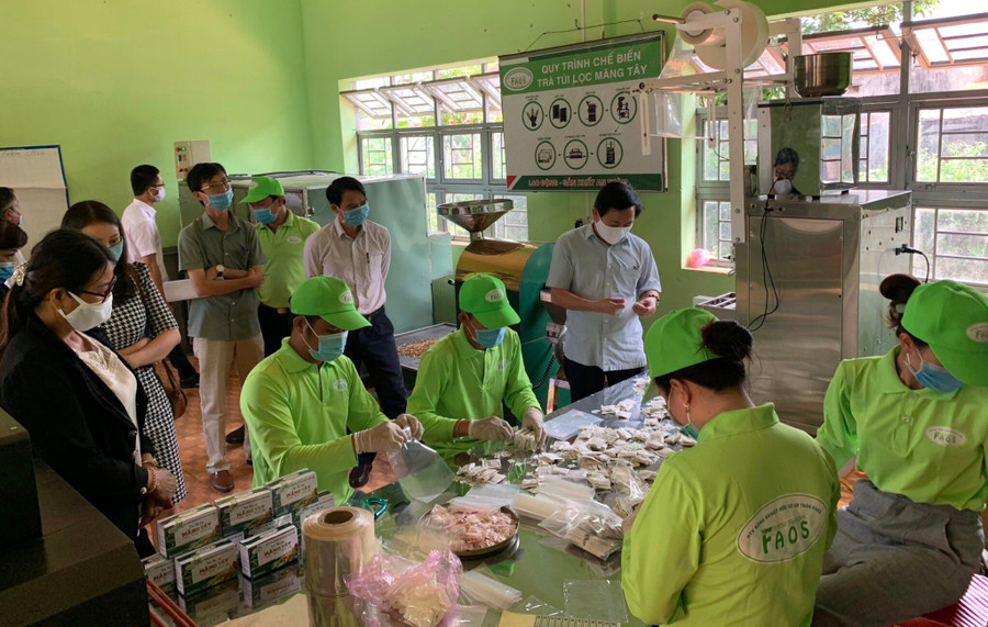 Đề án hỗ trợ máy móc thiết bị tiên tiến trong chế biến nông sản tại Hợp tác xã Nông nghiệp Hữu Cơ An toàn FAOS được thực hiện năm 2020. Ảnh: Vũ Thảo