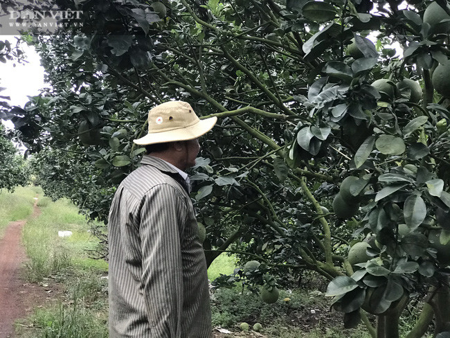  Tỷ phú nông dân Hùng Dũng chia sẻ: “Tôi gắn bó với cây mía cả mấy chục năm nhưng lợi nhuận ngày càng giảm nên quyết định học hỏi tìm tòi để chuyển đổi cây trồng vật nuôi theo hướng tốt nhất. Thông qua Hội Nông dân, thông tin trên mạng internet và những chuyến học tham quan hỏi kinh nghiệm thực tế từ những mô hình chăn nuôi, trồng trọt, tôi đã áp dụng thành công mô hình đa canh...