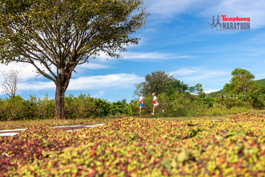 2. Giải Vô địch Quốc gia Marathon và cự ly dài Báo Tiền Phong sẽ diễn ra vào ngày 27 và 28-3_ ảnh Báo Tiền Phong