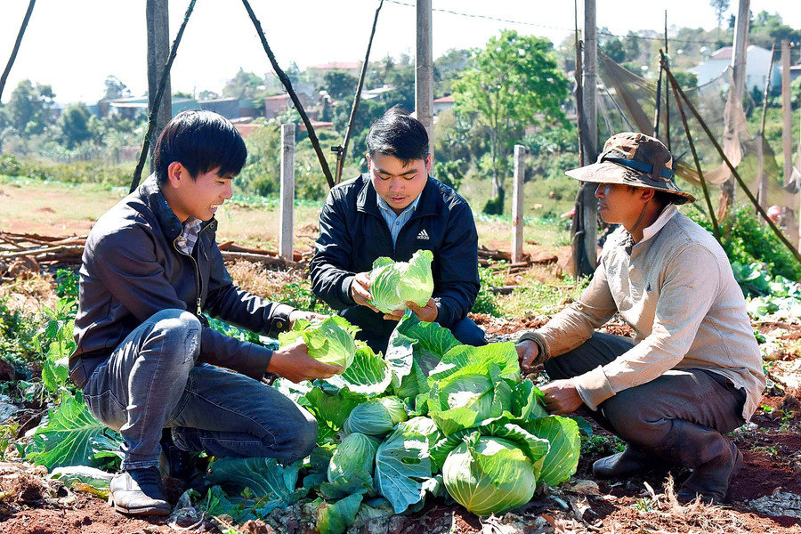 Các thành viên Nông hội rau an toàn trao đổi kinh nghiệm trồng, chăm sóc rau trên đất đồi.