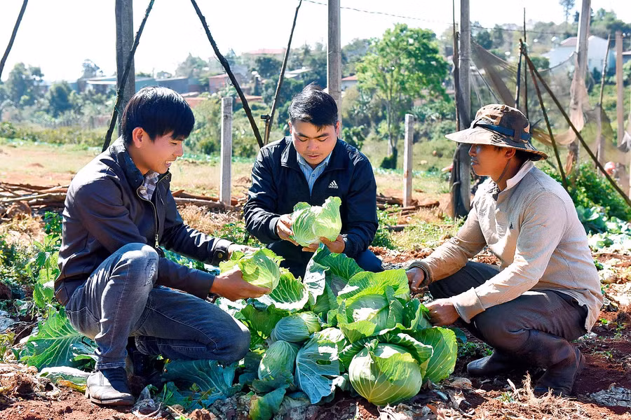 Các thành viên Nông hội rau an toàn trao đổi kinh nghiệm trồng, chăm sóc rau trên đất đồi.
