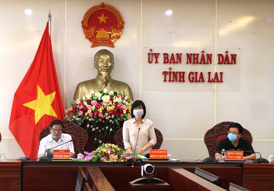 Phó Chủ tịch UBND tỉnh Gia Lai Nguyễn Thị Thanh Lịch phát biểu kết thúc cuộc họp. Ảnh: Thiên Di