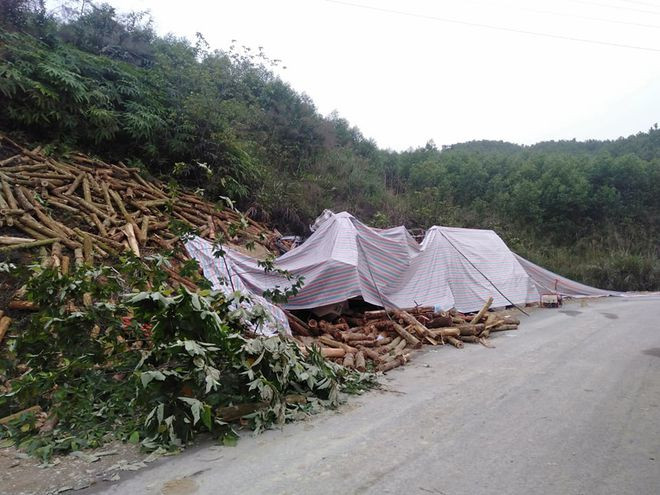 Chiếc xe tải chở keo gặp nạn khi đang đổ dốc - Ảnh Phúc Ngư Chiếc xe tải chở keo gặp nạn khi đang đổ dốc - Ảnh Phúc Ngư