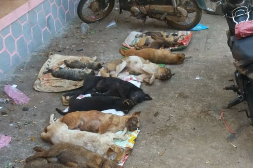 Hiện trường vụ việc. Ảnh: T.X