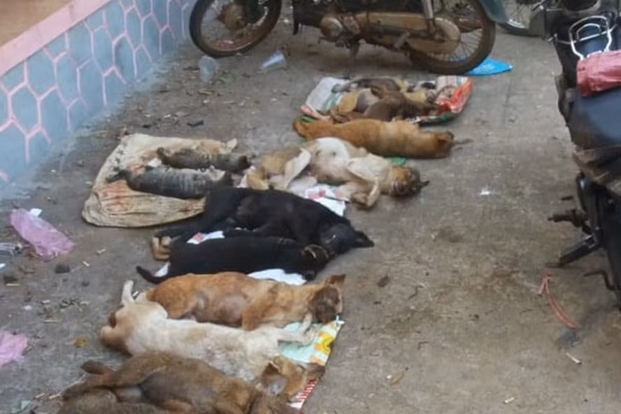 Hiện trường vụ việc. Ảnh: T.X