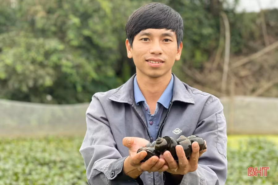 Từ bỏ công việc lao động ở nước ngoài, anh Đặng Công Hảo trở về quê hương nuôi ốc nhồi để phát triển kinh tế.