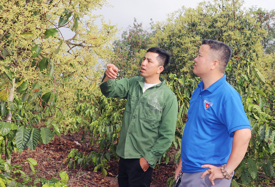 Anh Long Văn Tường (bên trái; xã Chơ Long, huyện Kông Chro) chia sẻ kinh nghiệm sản xuất. Ảnh: Ngọc Minh