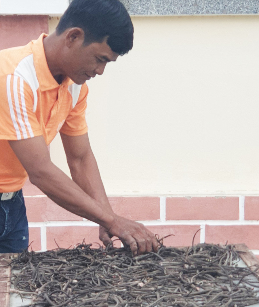 Hiện tại xã Đak Tơ Pang, số lượng đuôi chuột thu gom trong dân vẫn chưa có dấu hiệu thuyên giảm