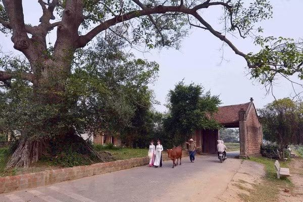 Cổng làng Đường Lâm. (Ảnh: Thanh Hà/TTXVN)