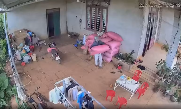 Hình ảnh vụ trộm tiêu ngang nhiên trích chụp từ camera an ninh nhà ông Tuấn