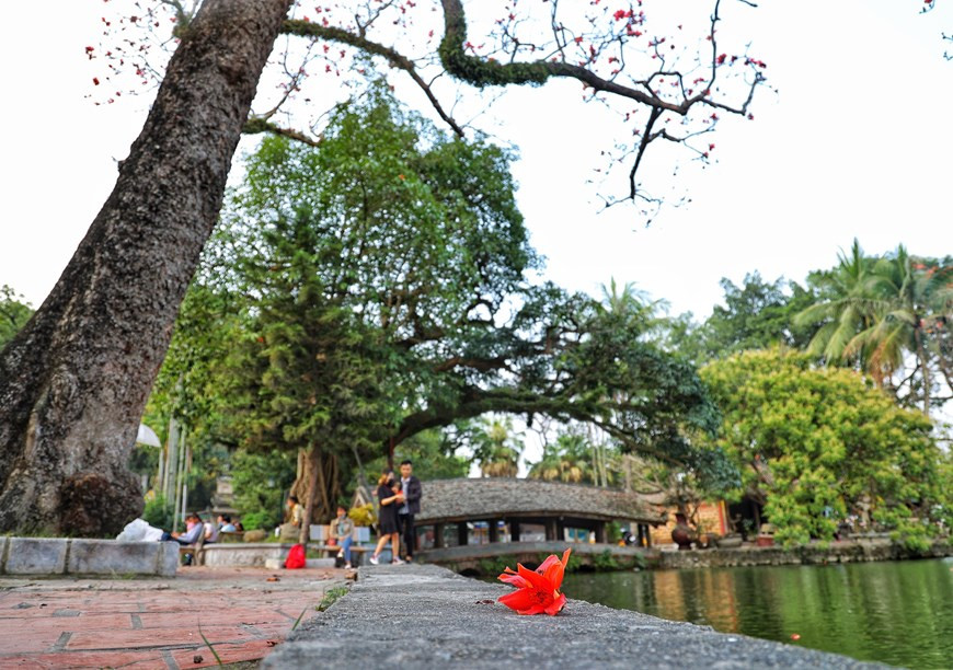 Nơi đây trở thành điểm đến ưa thích của giới trẻ mỗi độ hoa bung sắc. (Ảnh: Xuân Mai/Vietnam+) Nơi đây trở thành điểm đến ưa thích của giới trẻ mỗi độ hoa bung sắc. (Ảnh: Xuân Mai/Vietnam+)
