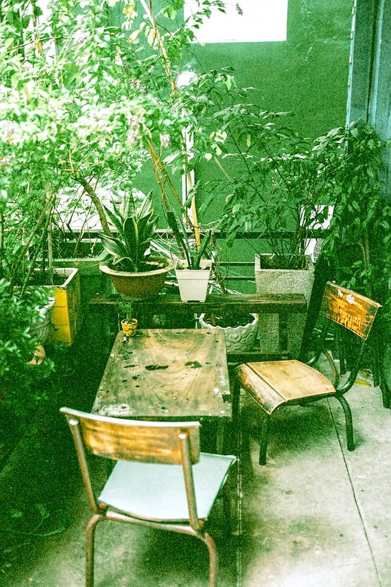 Góc nhỏ màu xanh trong gia đình nuôi dưỡng những câu chuyện đẹp. Ảnh: KHANH TRỊNH Góc nhỏ màu xanh trong gia đình nuôi dưỡng những câu chuyện đẹp. Ảnh: KHANH TRỊNH