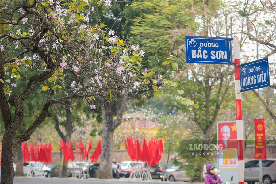 Ảnh: Tô Thế Ảnh: Tô Thế