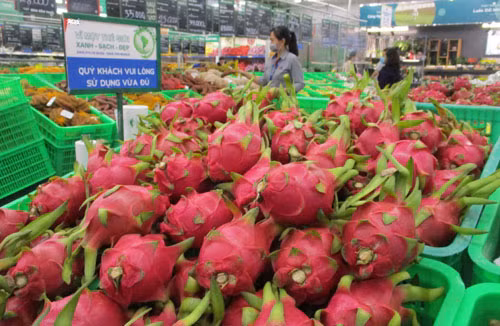 Thanh long là mặt hàng được Trung Quốc mua nhiều nhất