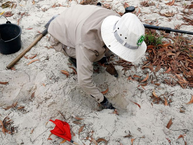 Dùng tay bới và thu gom bom mìn - ẢNH: SƠN THỦY