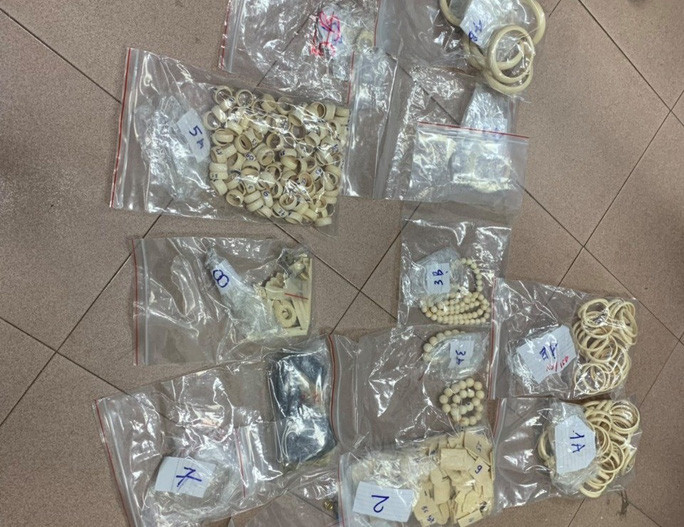 Hàng trăm sản phẩm được chế tác từ ngà voi Hàng trăm sản phẩm được chế tác từ ngà voi