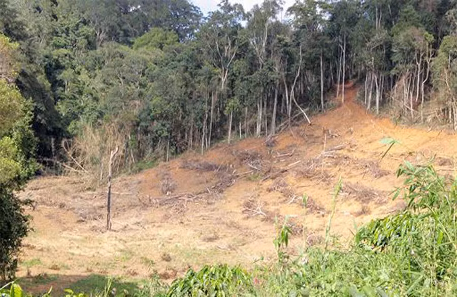 Ảnh minh họa: Internet