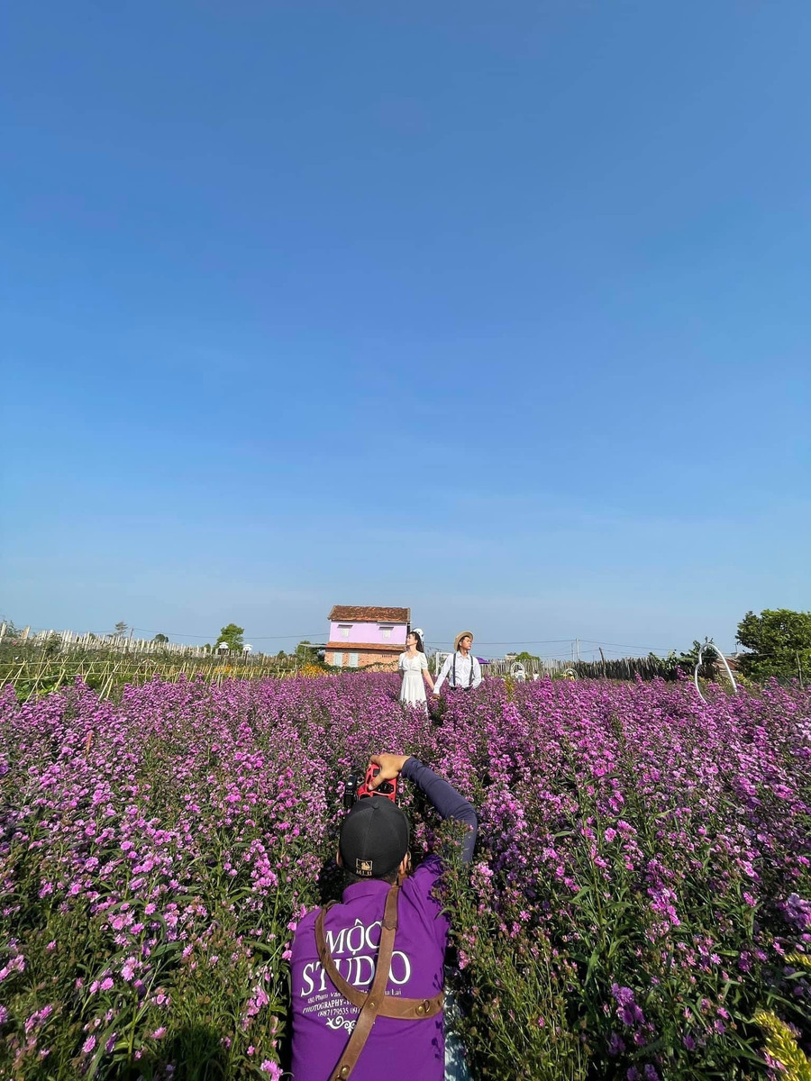  Một nhiếp ảnh đang “chill” cùng sắc tím trong shoot hình cưới