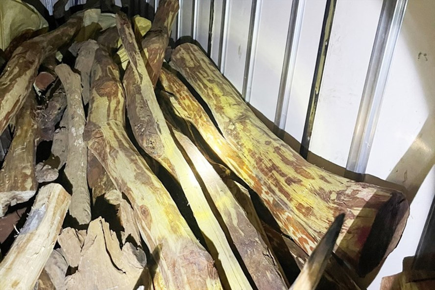 Gần 3 tấn gỗ trắc không rõ nguồn gốc bị CSGT Hà Tĩnh bắt giữ. Ảnh: CA.