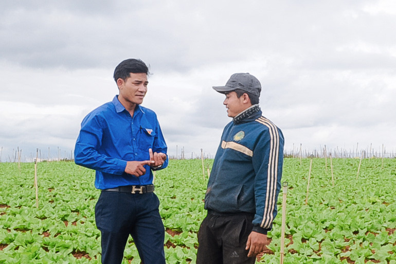 Anh Chu Ru Yang Jẽh (mặc áo Đoàn) vận động, hướng dẫn nhiều thanh niên địa phương chuyển đổi cơ cấu cây trồng thành công