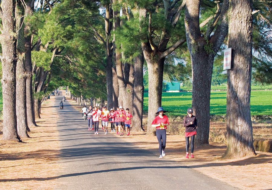Đoàn vận động viên tỉnh Khánh Hòa làm quen đường chạy của giải. Ảnh: Huy Tịnh