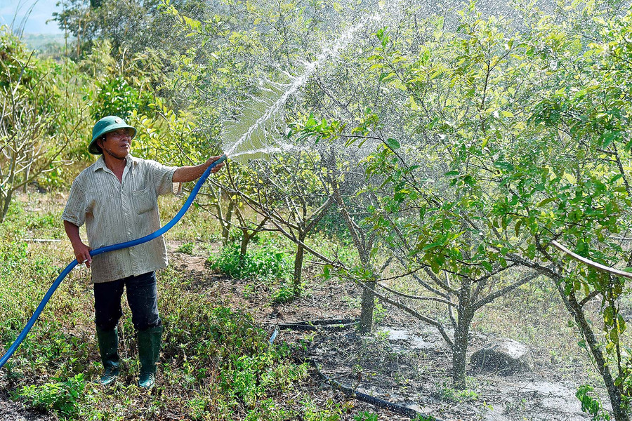 Cũng giảm đất trồng mía chuyển sang trồng cây ăn trái, ông Trần Văn Khánh (thôn 1, xã Hà Tam) cho hay: Trước đây, trên khu đất rộng 6 ha này, gia đình ông chỉ trồng mía. Sau khi cải tạo, lắp đặt hệ thống ống tưới nước tự động, ông Khánh chuyển sang trồng các loại cây ăn trái như: 500 cây na, 400 cây dừa xiêm lùn, 400 cây bưởi da xanh, 250 cây mít Thái, 400 cây bơ, 800 cây chanh đào, 150 cam vinh...