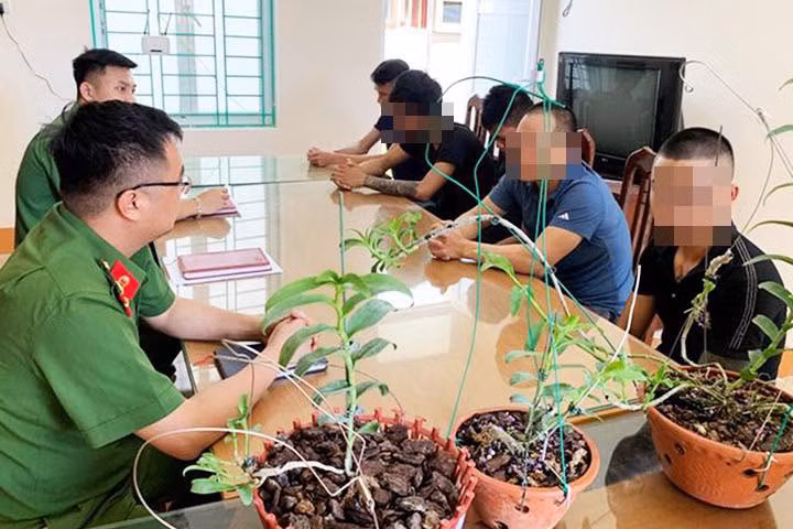 Công an huyện Yên Thủy (Hòa Bình) bắt giữ nhóm đối tượng có dấu hiệu lừa đảo, chiếm đoạt tài sản thông qua mua, bán hoa lan đột biến. Ảnh: CATQ