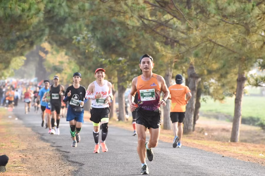 Ảnh: Đức Thụy