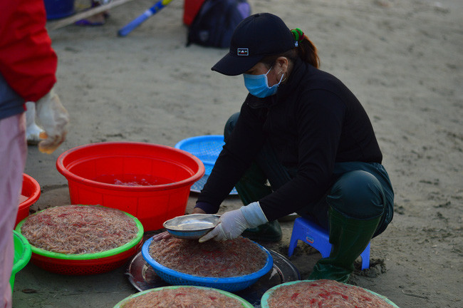  Mùa ruốc bắt đầu từ tháng 11 âm lịch năm trước đến hết tháng 3 âm lịch năm sau.